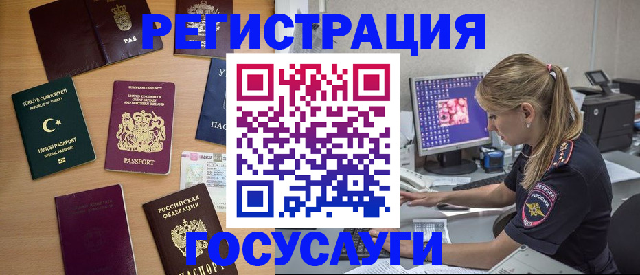 прописка для школы в Камышине